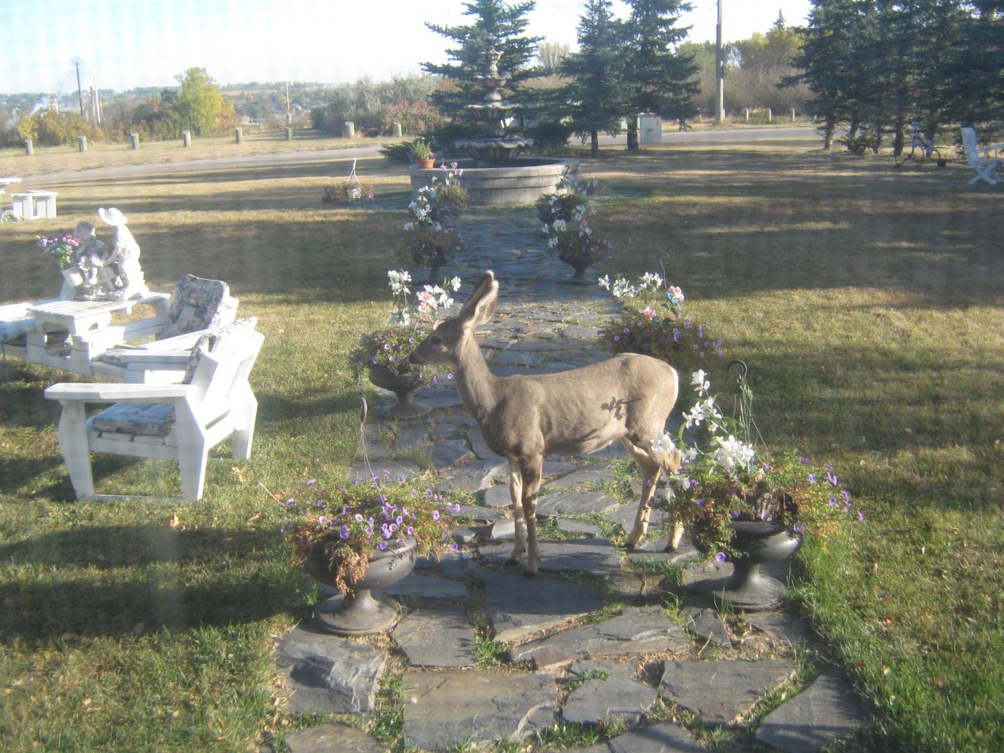 Wakamow Heights Bed And Breakfast Moose Jaw Luaran gambar